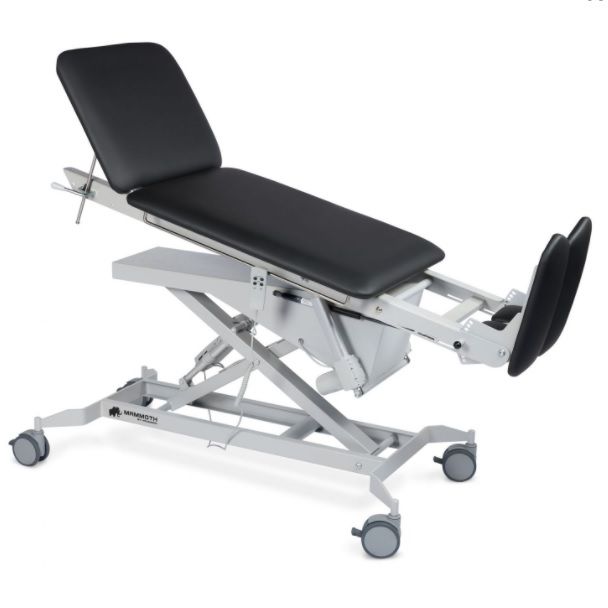 Hausmann Mammoth T Hi-Lo Tilt Table 7706