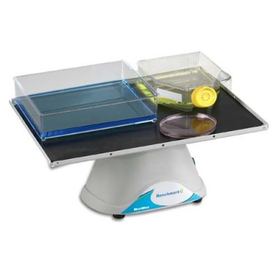 Benchmark Scientific BlotBoy 3D Fixed speed Rocker, B3D1308