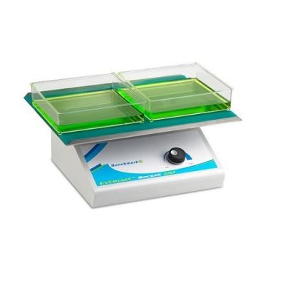 Benchmark Scientific Everlast Rocker 247 w/ Flat Mat, BR5000