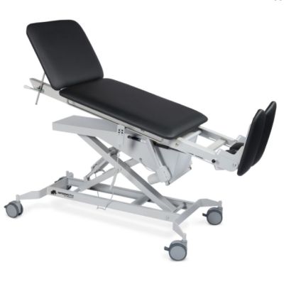Hausmann Mammoth T Hi-Lo Tilt Table 7706